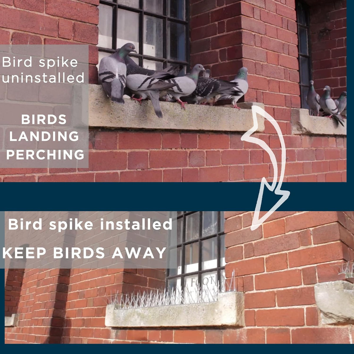 AOKKR Bird Spikes, Stainless Steel Pigeon Spikes, Humane Spring/Summer Bird Deterrent for Pigeons, Seagulls, Weather-Resistant Anti-Bird Spikes for Roofs, Gutters, Fences, Window Sills